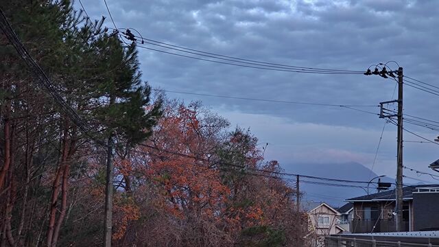 IMG_20221129_063924864