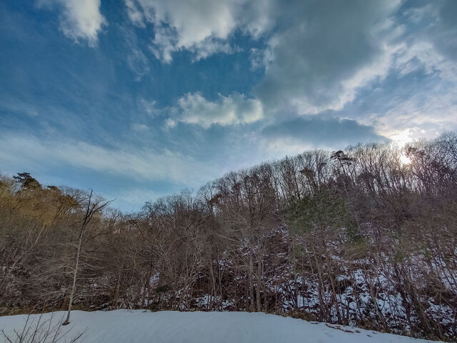 IMG_20220226_152536773_HDR_edited