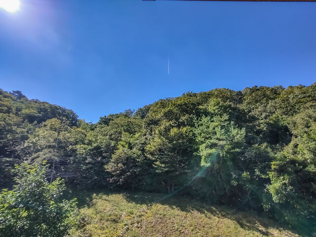 IMG_20220925_093053385_HDR_edited