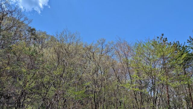 PXL_20250421_020656395