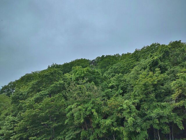 IMG_20220525_183512820_HDR