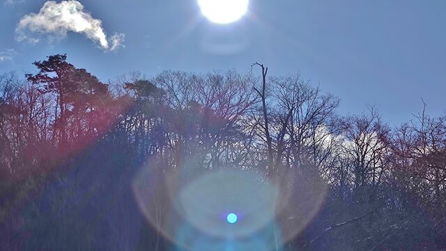 IMG_20221230_102002588