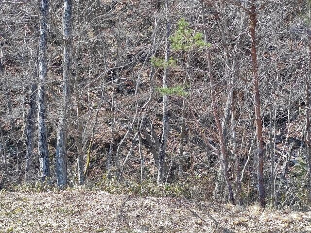 IMG_20220403_102252836 (640x480)