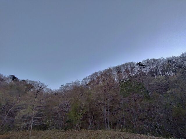 IMG_20220419_182223822_HDR
