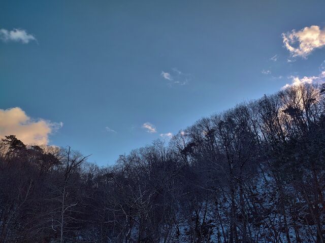 IMG_20220211_162147139_HDR
