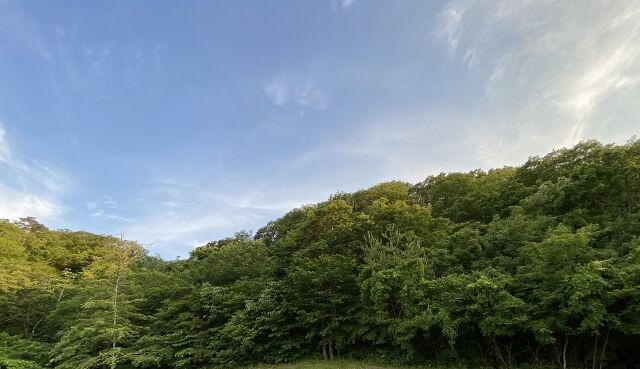 IMG_3334 (640x369)