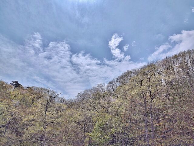 IMG_20220423_111756120_HDR