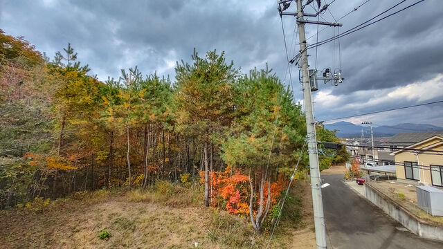 IMG_20221105_102212812_HDR_edited_ex