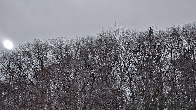 IMG_20221229_122923461
