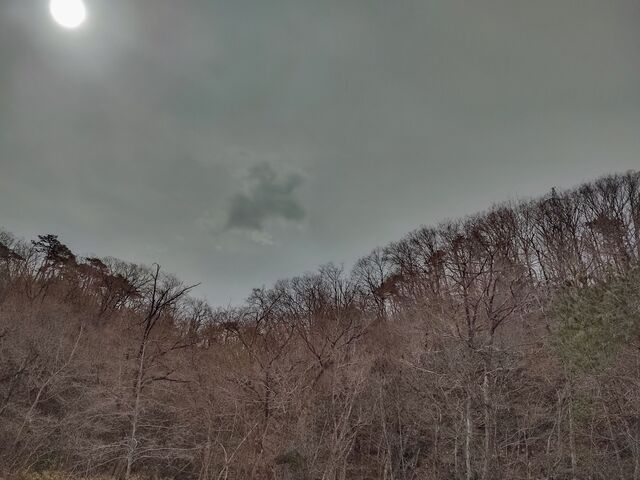 IMG_20220321_1003342929_HDR_edited