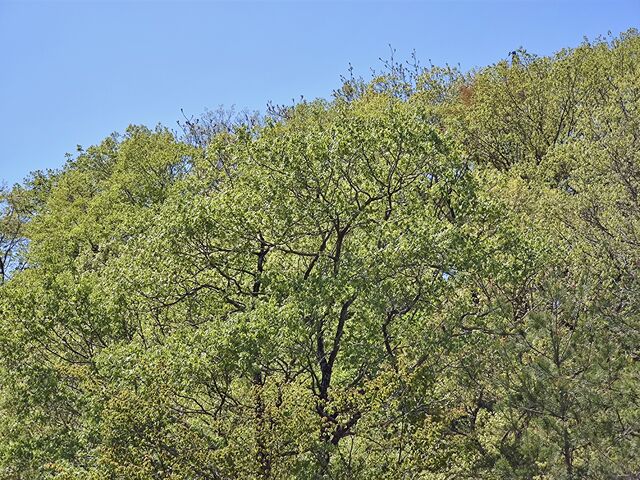 IMG_20220430_110131798