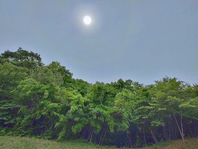 IMG_20220521_130229216_HDR
