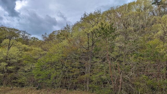 PXL_20260421_010434368