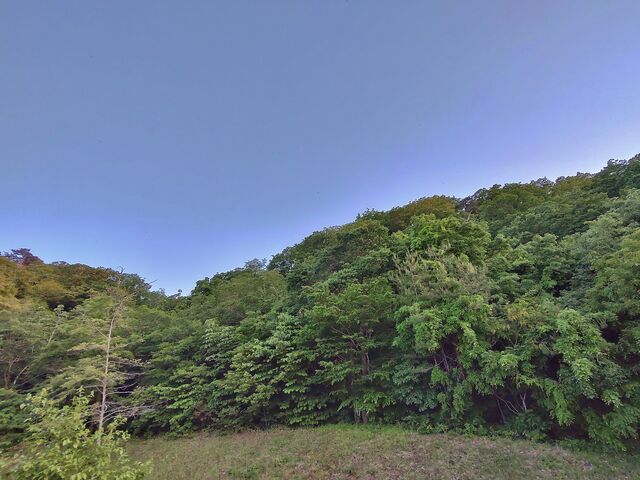 IMG_20220524_183042240_HDR