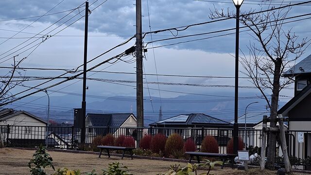 IMG_20221129_064220766