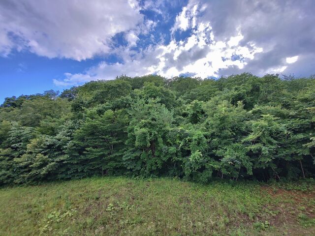 IMG_20220723_163158068_HDR