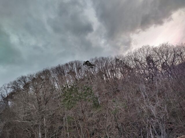 IMG_20220331_174107021_HDR
