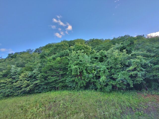IMG_20220723_174029554_HDR