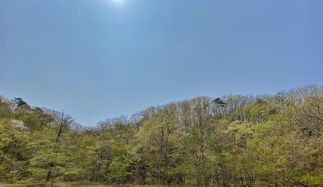 IMG_2248
