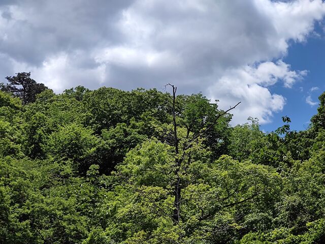 IMG_20220528_104812466