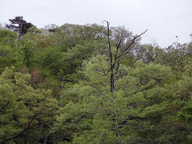 IMG_20220501_072820678