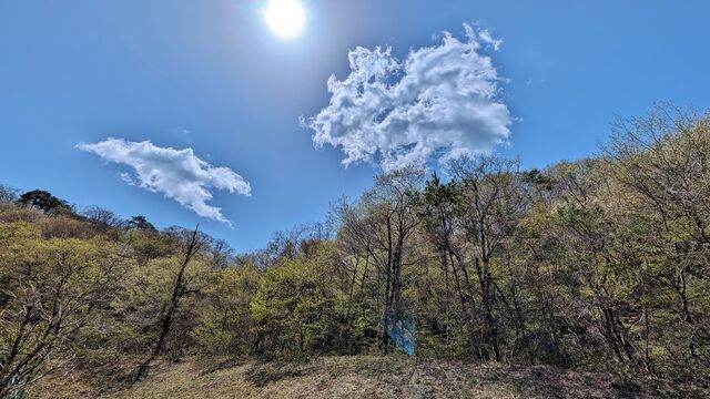PXL_20250421_020705140