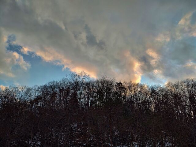 IMG_20220131_164045639_HDR