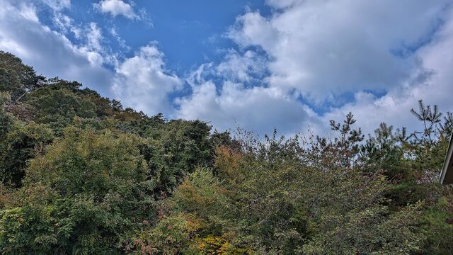 PXL_20251029_015905895