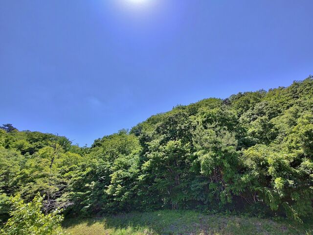 IMG_20220529_115534896_HDR