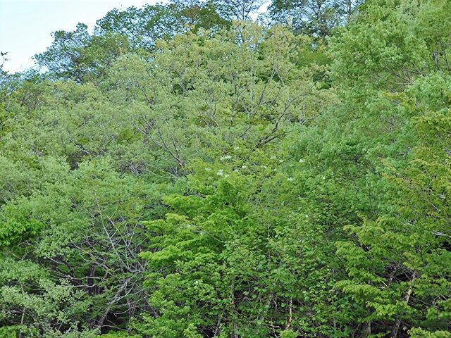 IMG_20220503_173445102