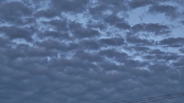 IMG_20221129_064224801