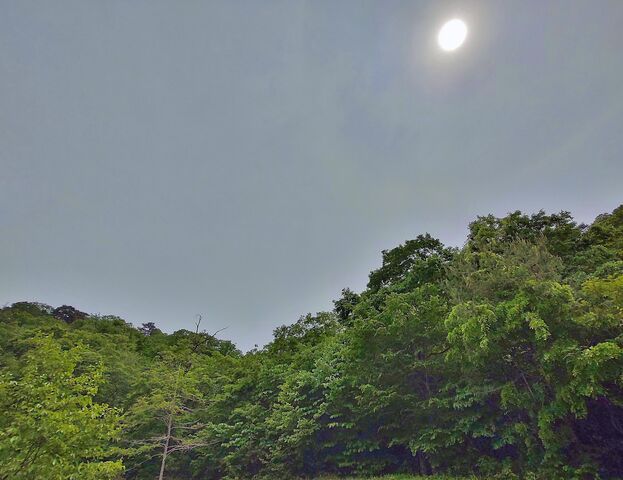IMG_20220521_130222405_HDR