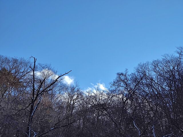 IMG_20220205_142008387