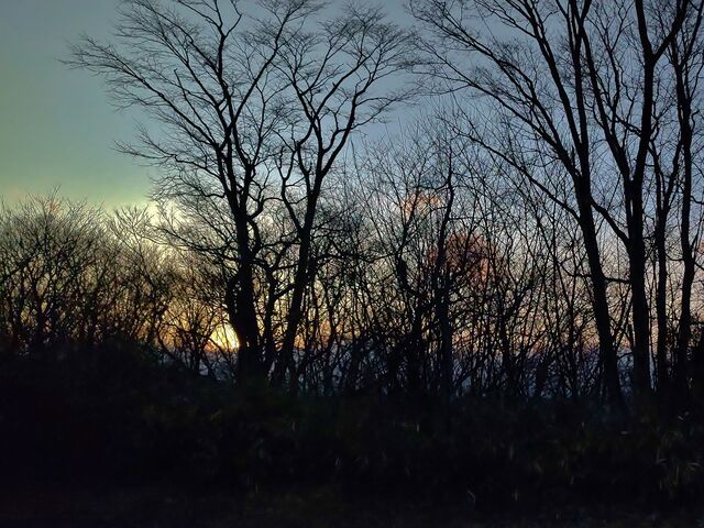 IMG_20220202_163439270