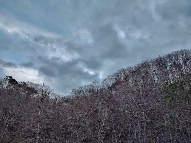 IMG_20220331_174057645_HDR