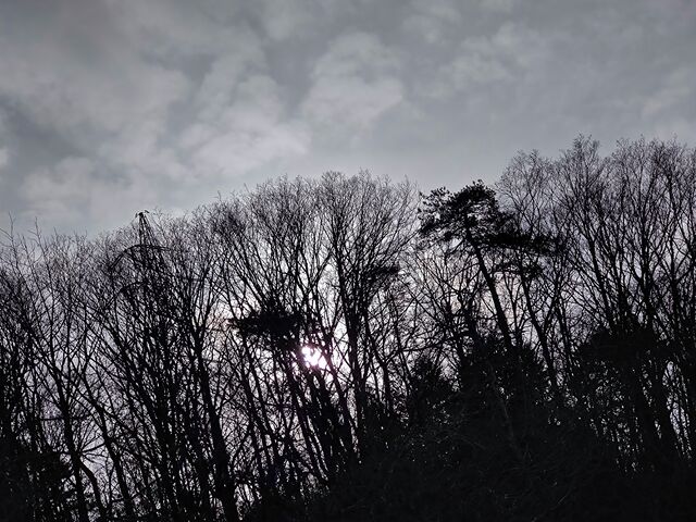 IMG_20220129_141927690