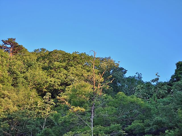 IMG_20220701_182652037