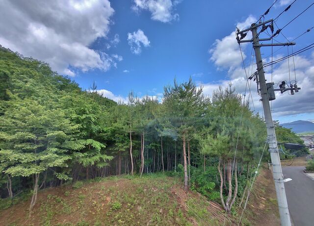 IMG_20220528_101544462_HDR