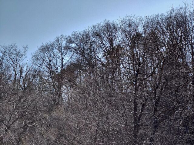 IMG_20220409_132422091_HDR