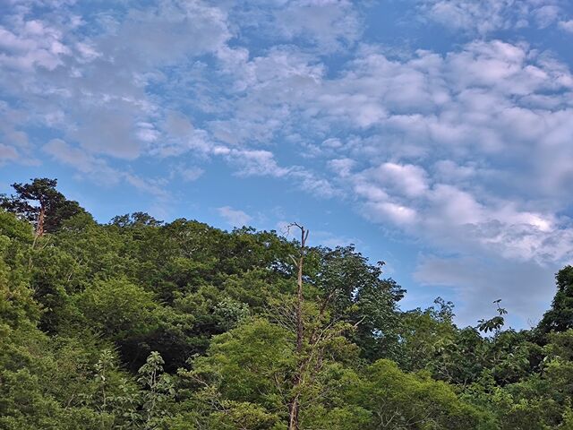 IMG_20220809_175022810