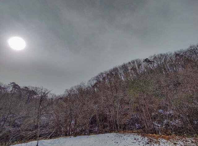 IMG_20220306_100514873_HDR_edited