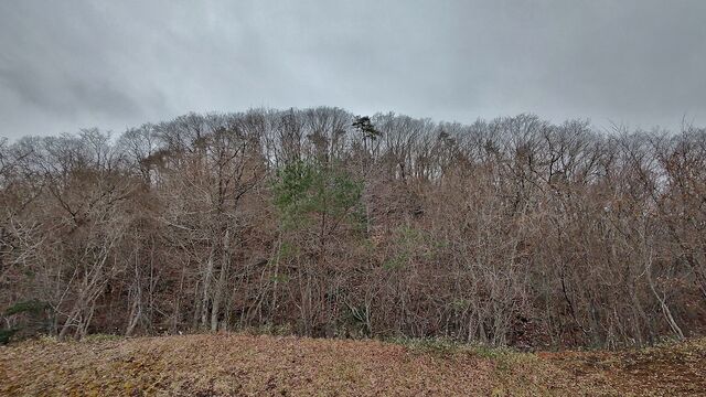 IMG_20221229_122901120_HDR