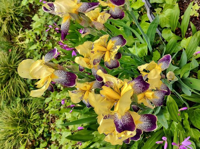 IMG_20220523_170907263_HDR