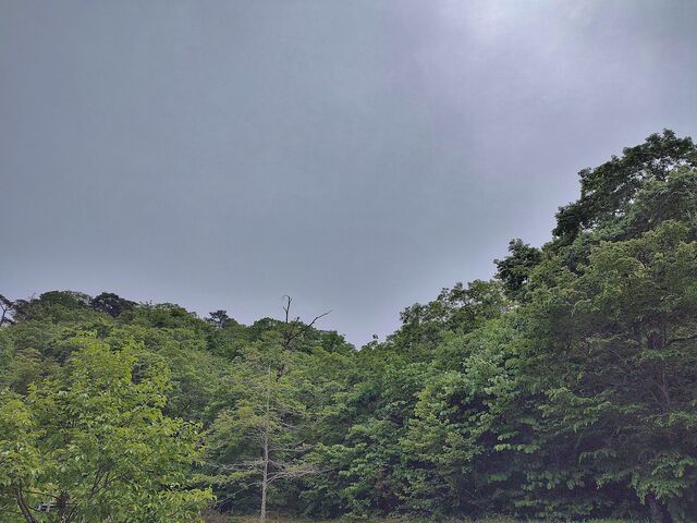 IMG_20220521_130157619_HDR