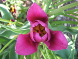87f1c06a.JPG