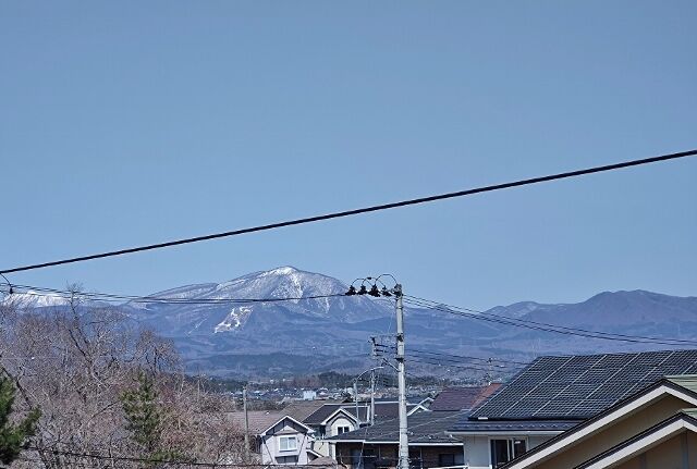 IMG_20220403_101328147 (640x431)