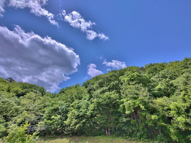 IMG_20220528_104752194_HDR