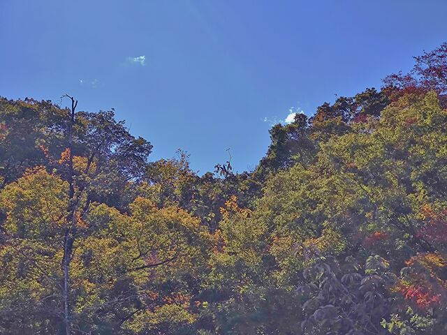 IMG_20221029_101431605