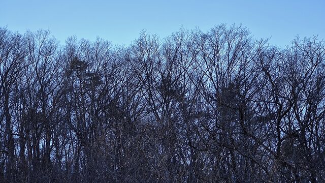 IMG_20230103_131914363