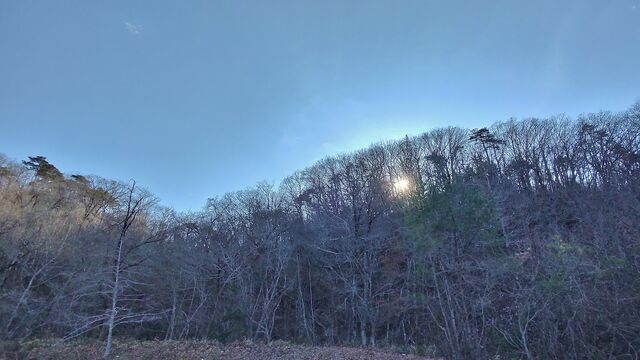IMG_20221211_133748505_HDR